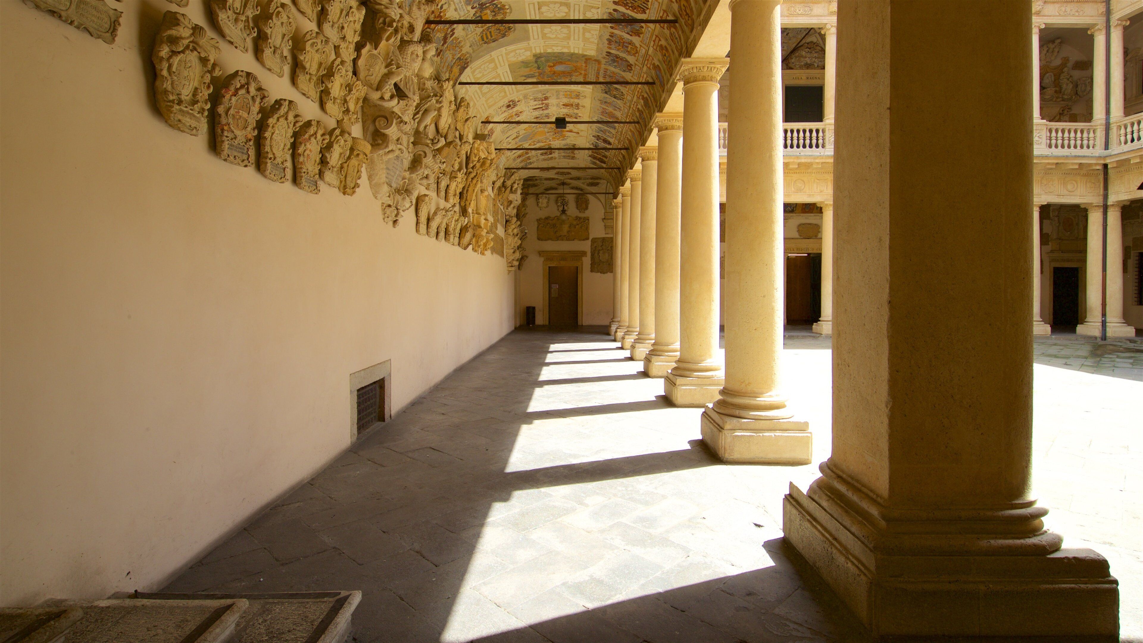 Palazzo del Bò featuring heritage elements