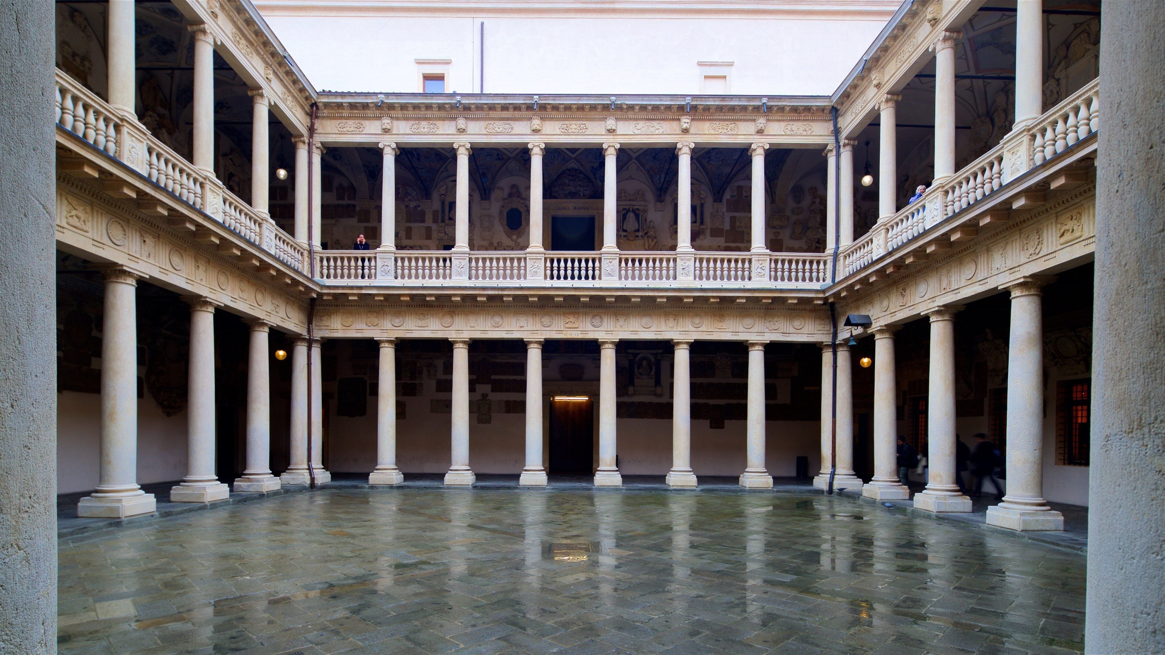 德爾波宮殿 设有 傳統元素