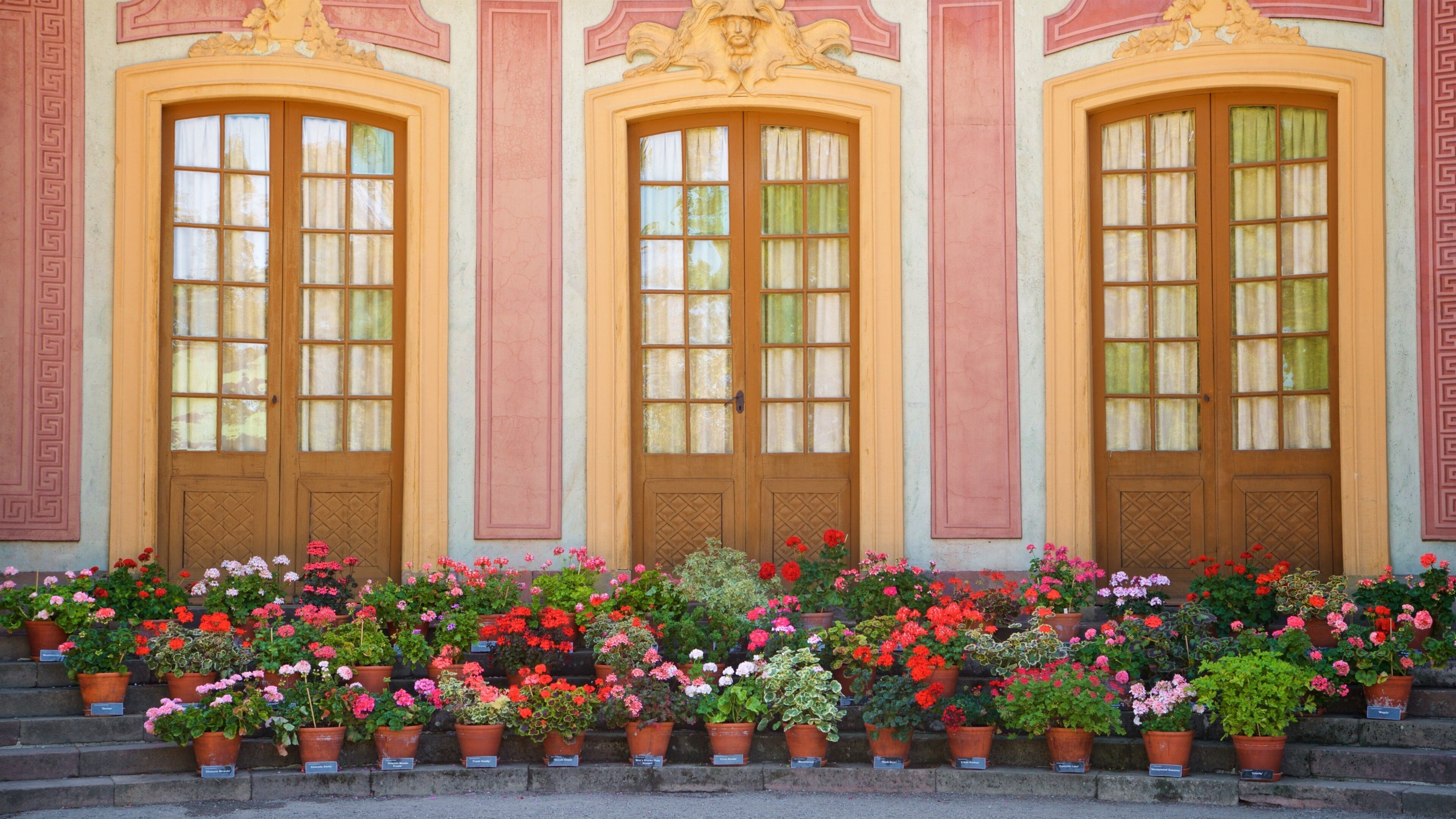 Chinese Pavilion featuring flowers