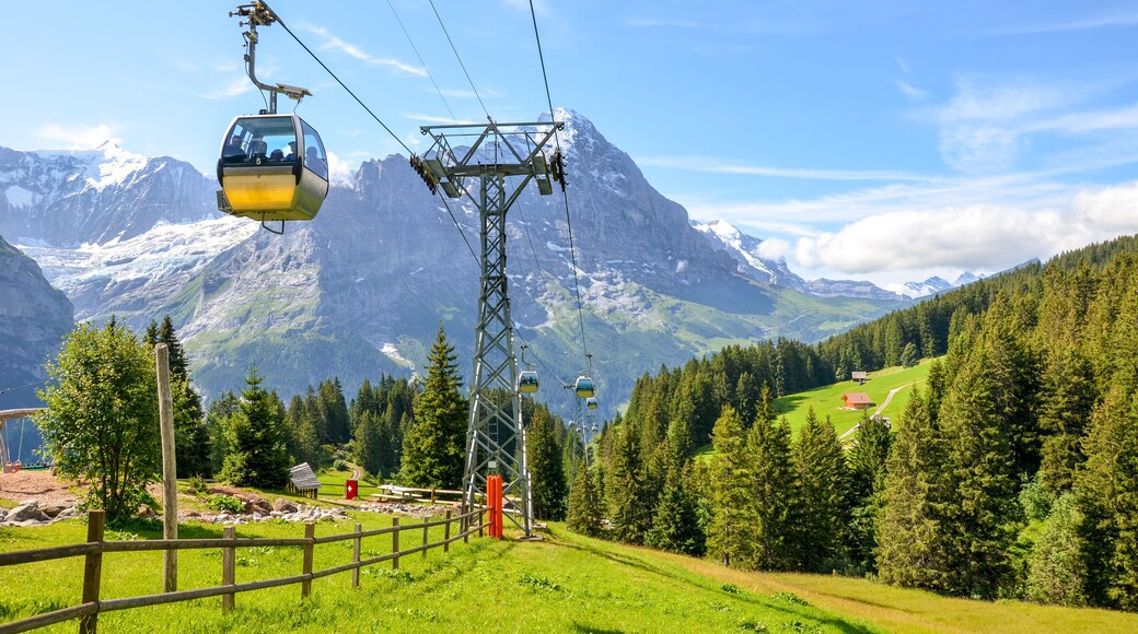 Yellow cable car in the Swiss Alps. Gondola going from Grindelwald to First in the Jungfrau area. Summer Alpine landscape with snowcapped mountains in the background. Transport tourists uphill