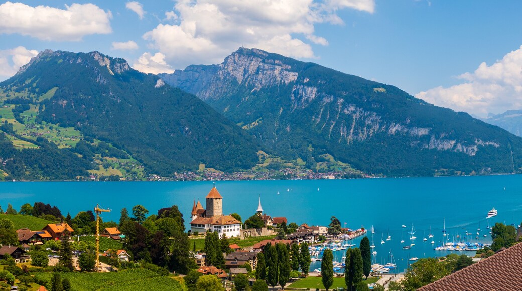 ChĂąteau de Chillon