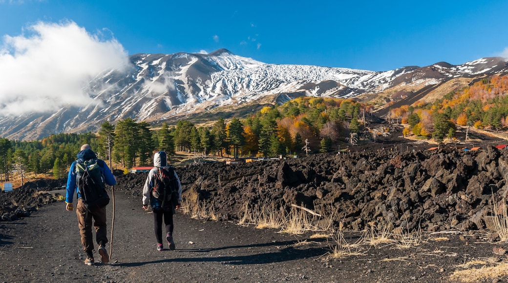 皮亞諾普羅維札納