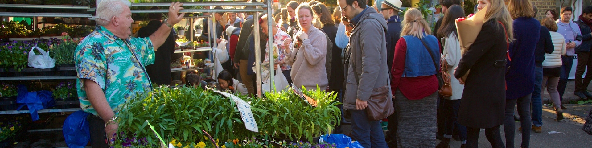 London featuring markets, shopping and flowers