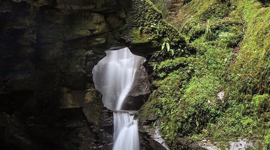 After my camera fell into the welsh sea a couple of years ago and not being able to photograph a waterfall I was determined to capture one in Cornwall. Glad we stopped here at St Nectans Glen. If you visit prepare for the walk from the car park to the entrance of the falls, not far my yourself but harder with kids, although the walk is beautiful