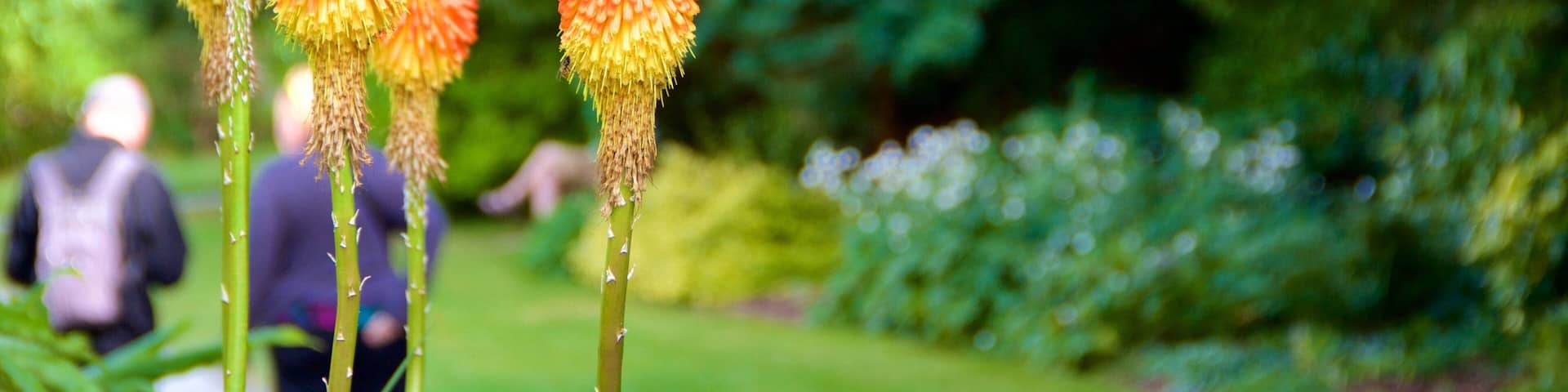 Truro which includes flowers