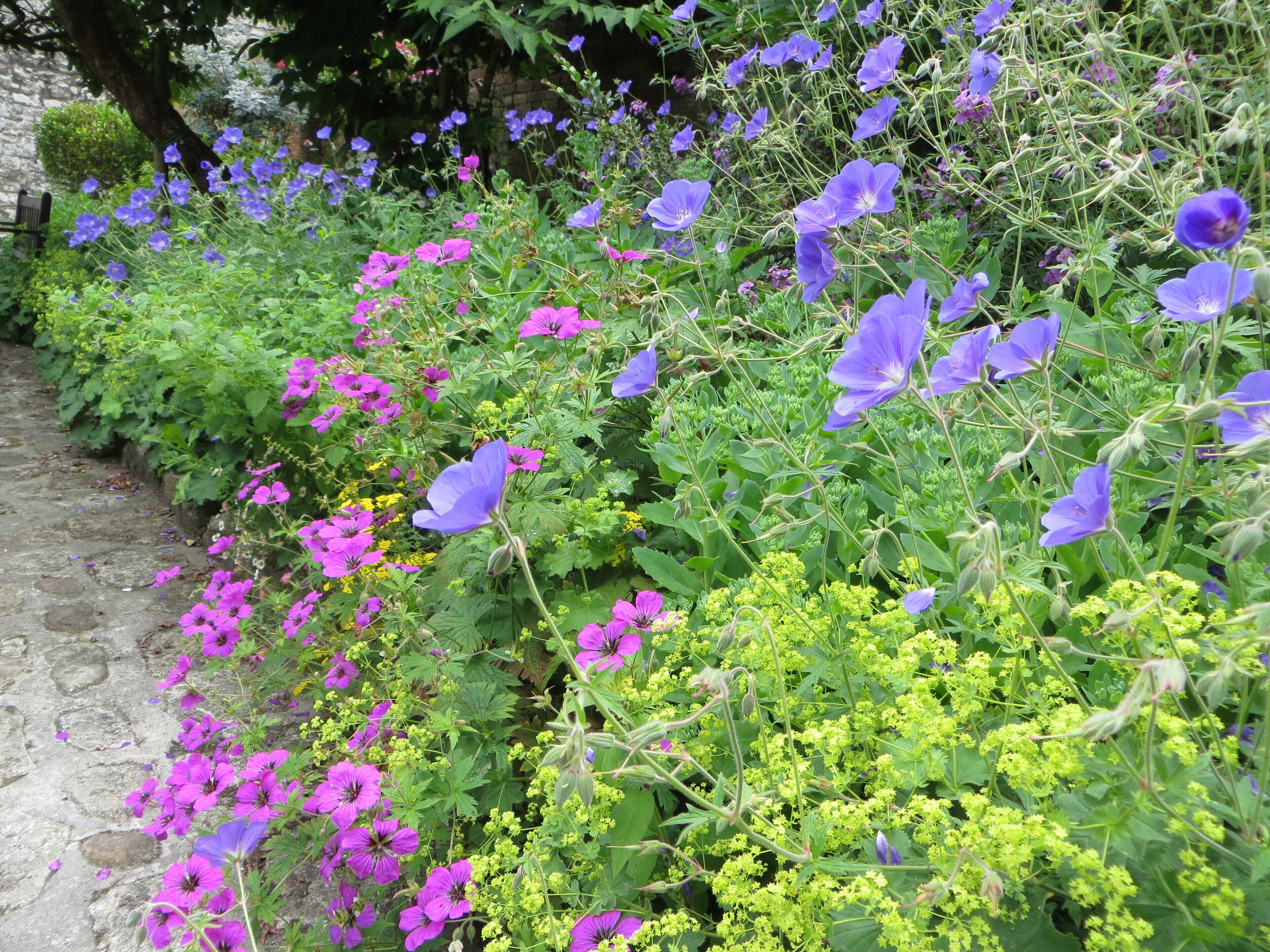 Scaplen's Court Garden