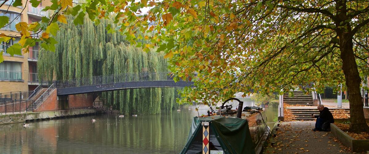 A canal with a narrowboat docked at the edge, a bridge in the background, and a tree with autumn leaves.