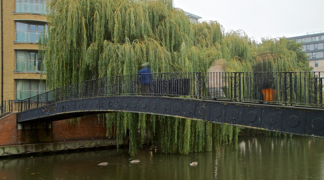 Kennet & Avon Canal showing a bridge and a river or creek