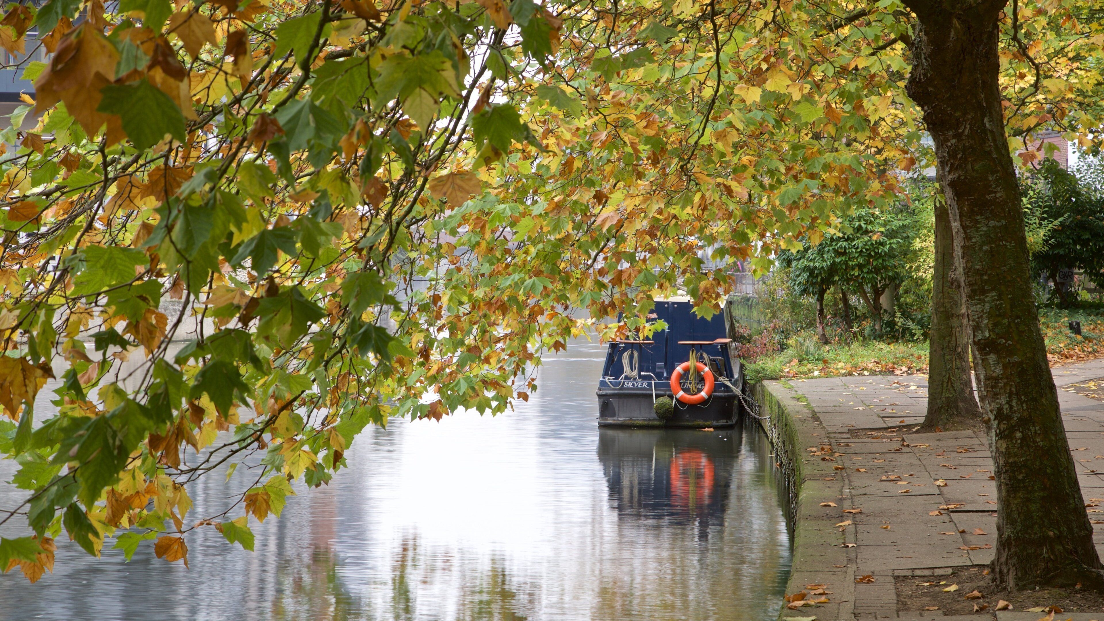 Kennet & Avon Canal showing a river or creek