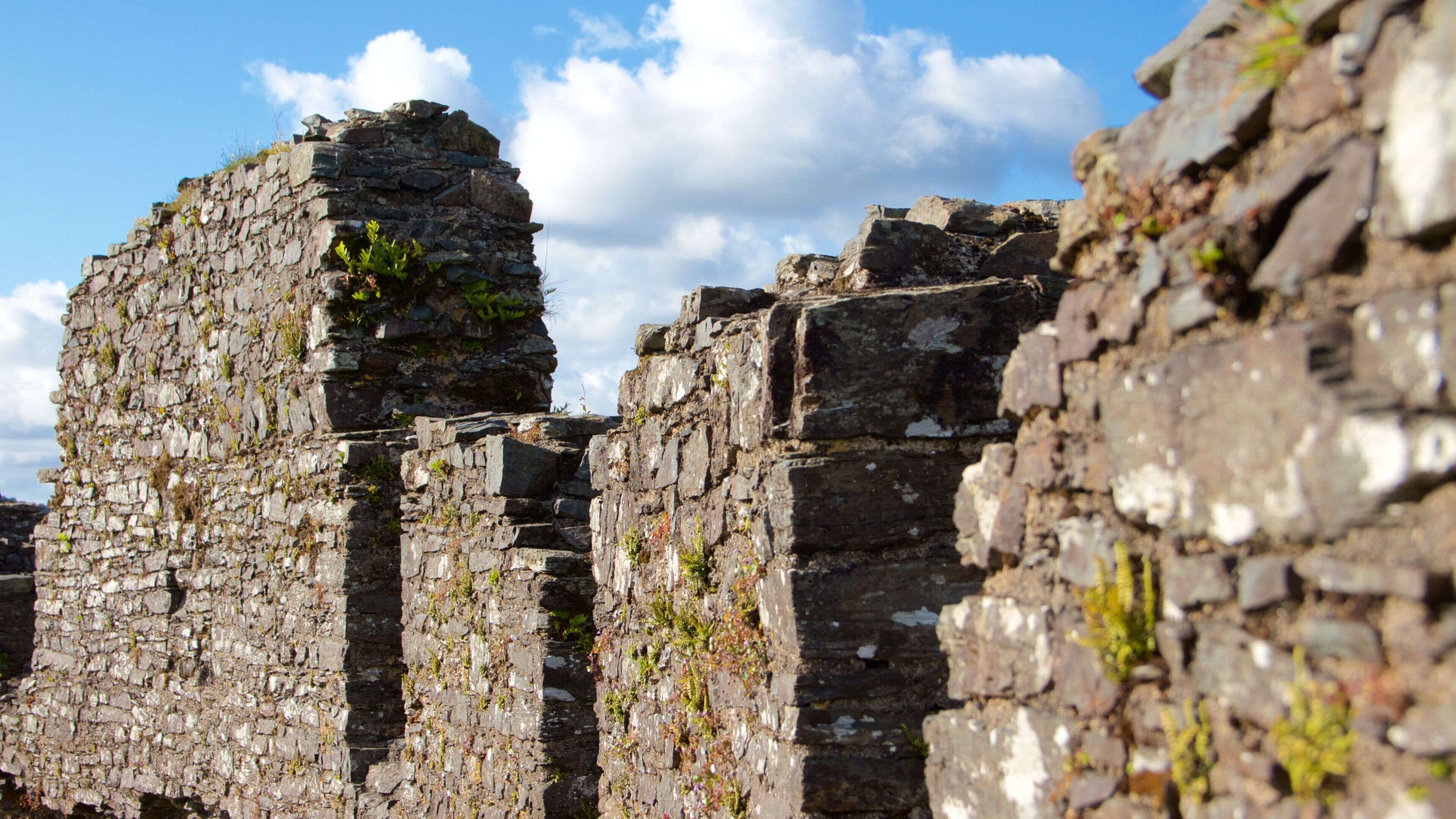 Restormel Castle which includes heritage elements, chateau or palace and building ruins