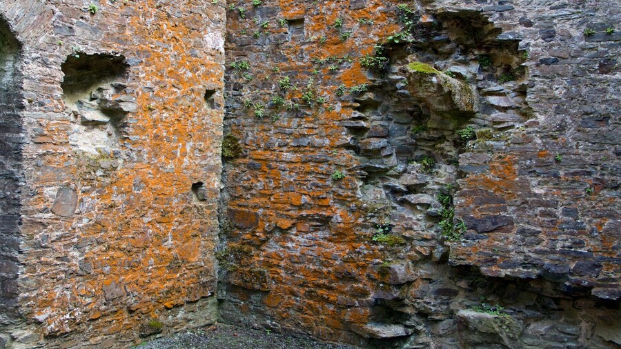 Cornwall showing heritage elements, a ruin and a castle