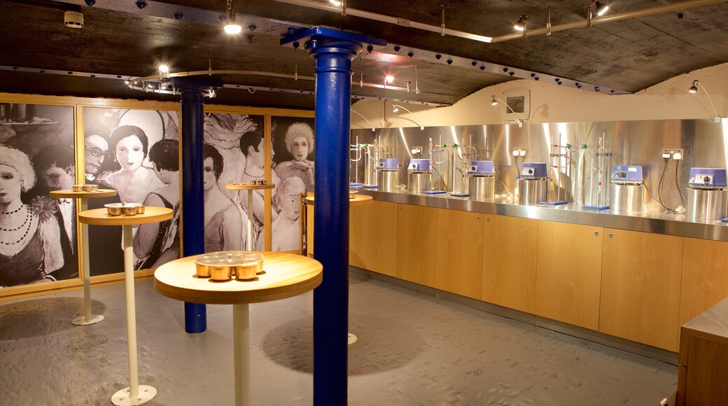 Plymouth showing drinks or beverages and interior views