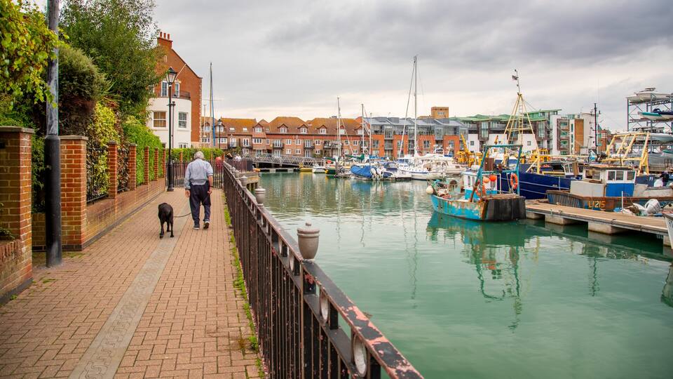 A canal with boats, a dog on a leash, and a person walking.