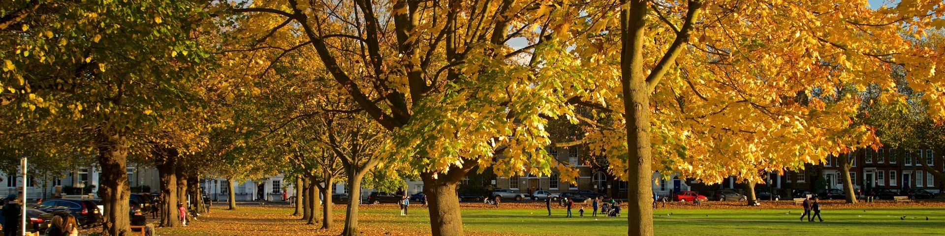 Richmond Green which includes autumn leaves and a park