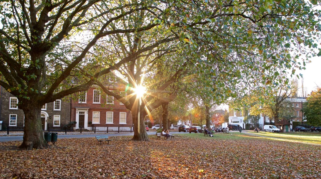 Richmond Green showing a park, a sunset and fall colors