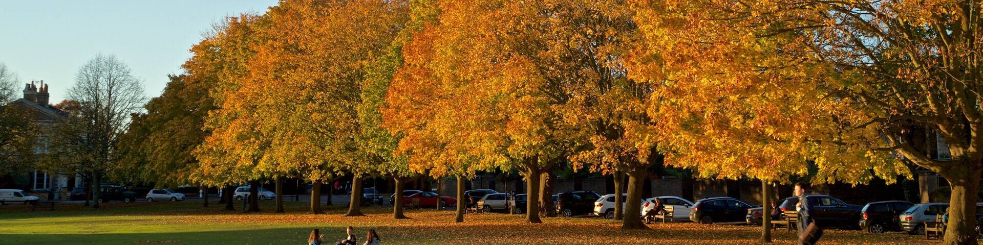 A park with autumn trees, grass, and parked cars.