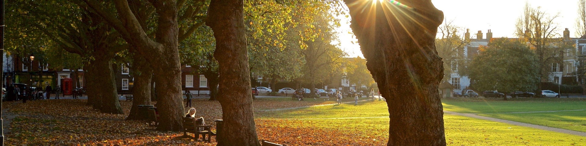 Richmond Green which includes fall colors, a park and a sunset