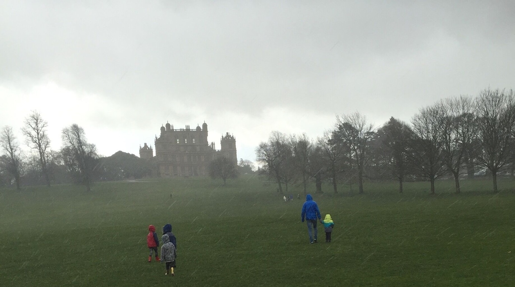 A very wet and cold walk took us to the magnificent Wollaton Hall. The kids loved it! It's natural history museum was great with plenty of exhibitions for the kids to get excited about. The grounds look amazing but we were too cold after getting wet in the rain. We will be returning again when the weather is warmer. #kidsfun #nationaltrust #wollatonhall #rainyday #family