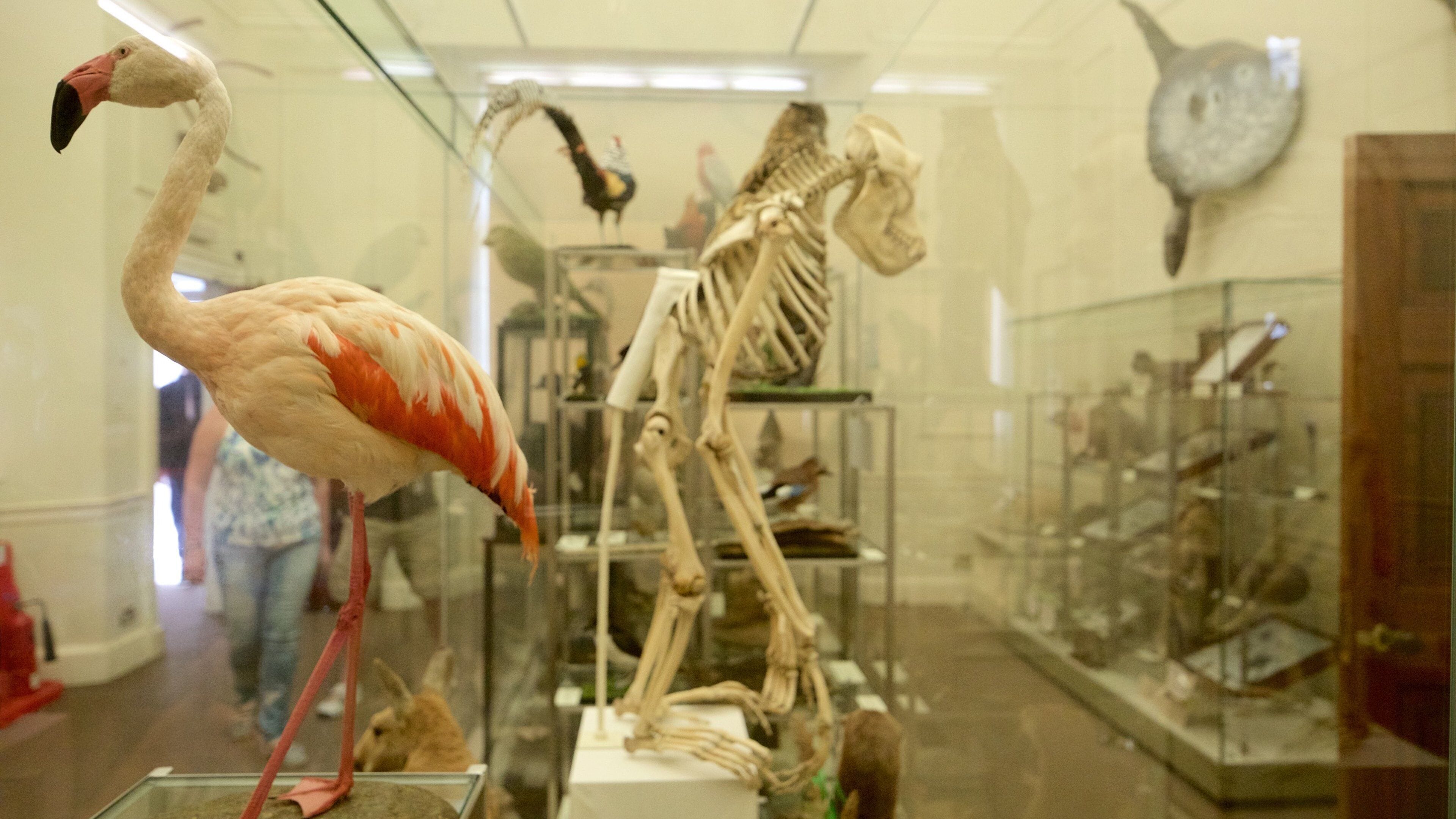 노팅엄 이 포함 실내 전경