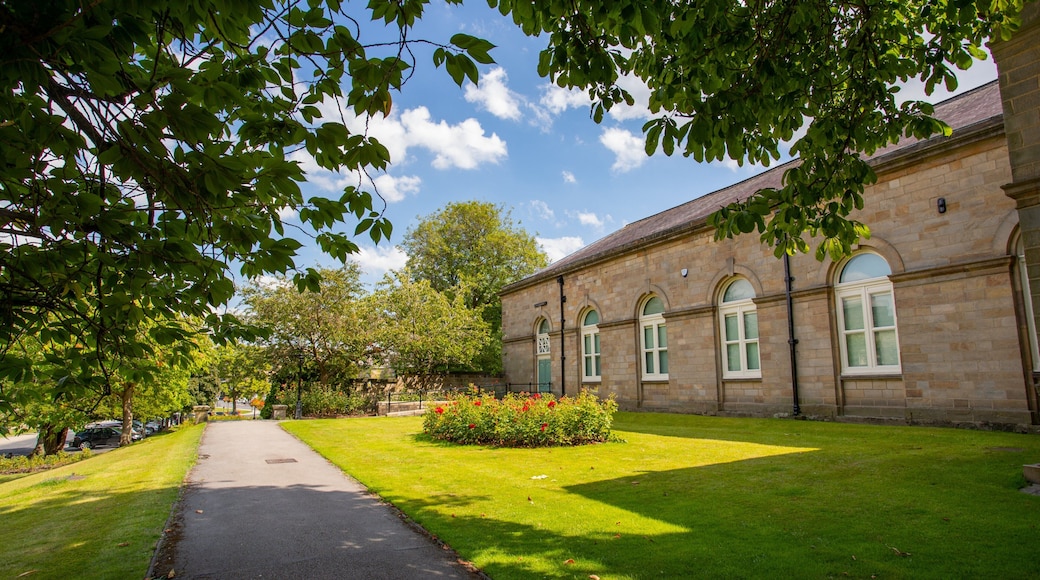 Mercer Art Gallery which includes a park, heritage elements and wildflowers