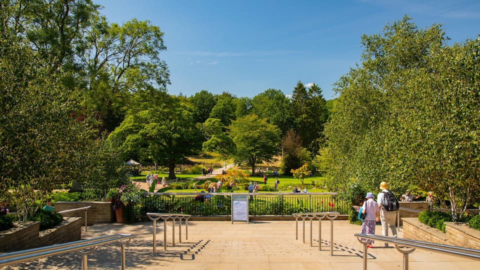 A park with a central pathway, benches, and trees.