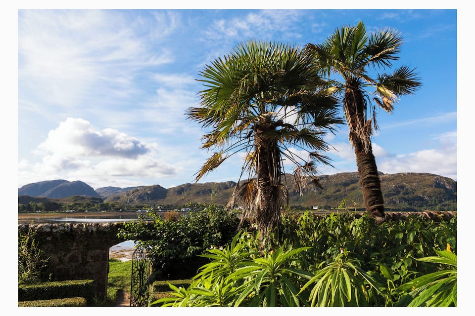 A palm tree, a stone bridge, and mountains in the background.