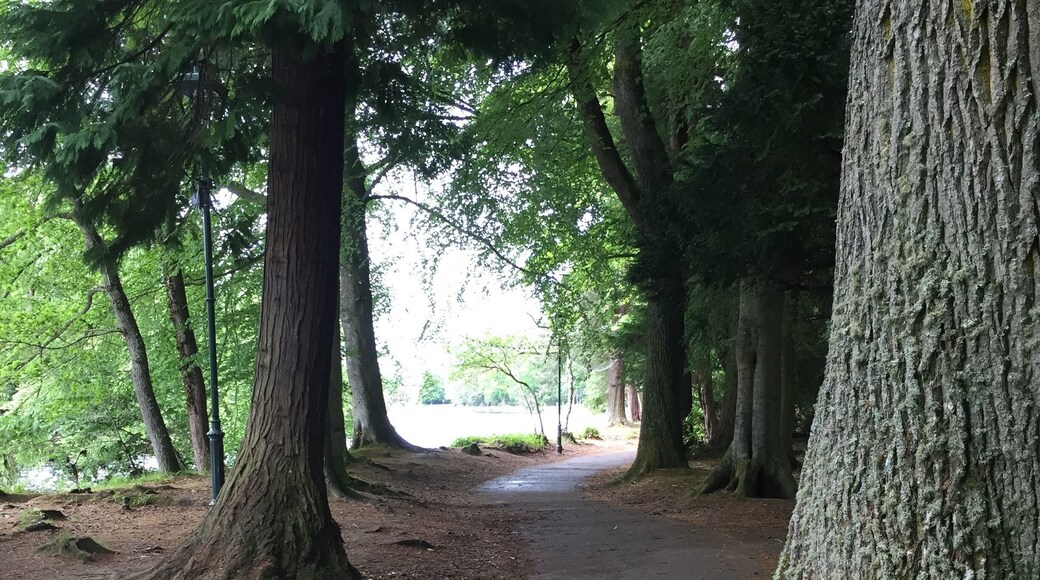 Running on the Ness Islands is one of my favorite parts of visiting Inverness. #lifeatexpedia