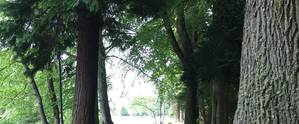 Running on the Ness Islands is one of my favorite parts of visiting Inverness. #lifeatexpedia
