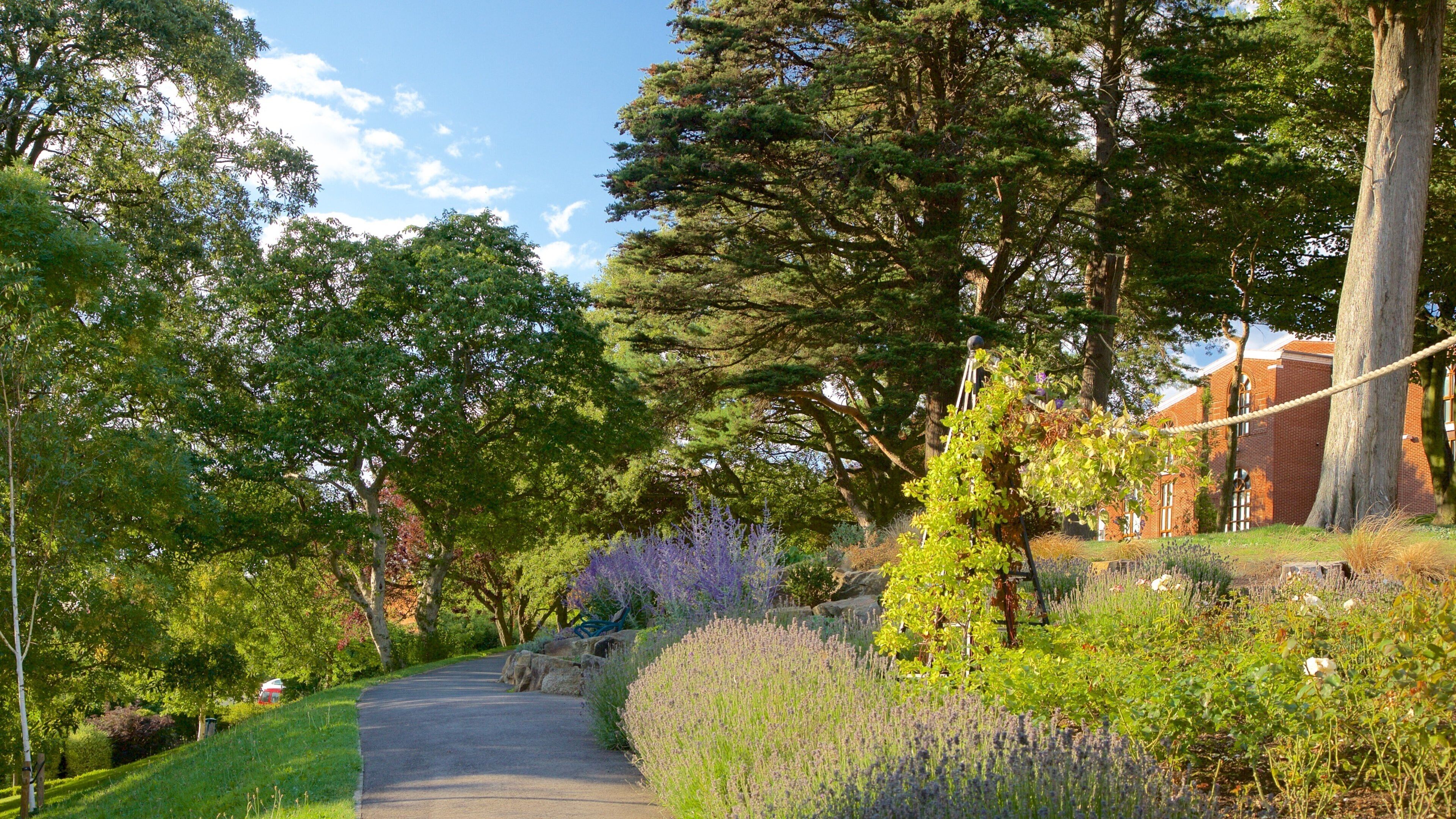Whitby which includes a garden