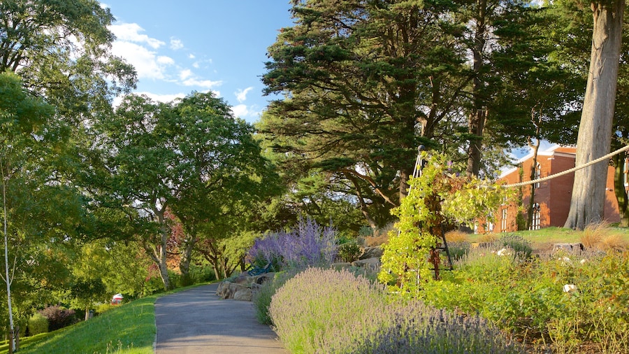 Whitby which includes a garden