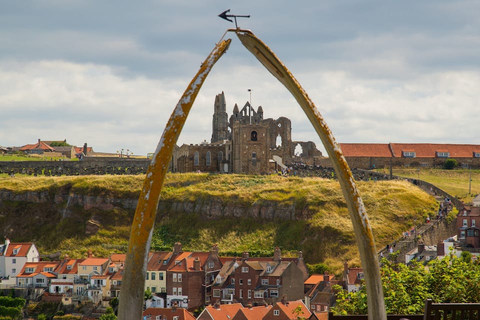 A historic castle with ruins, surrounded by residential buildings and a grassy hill.