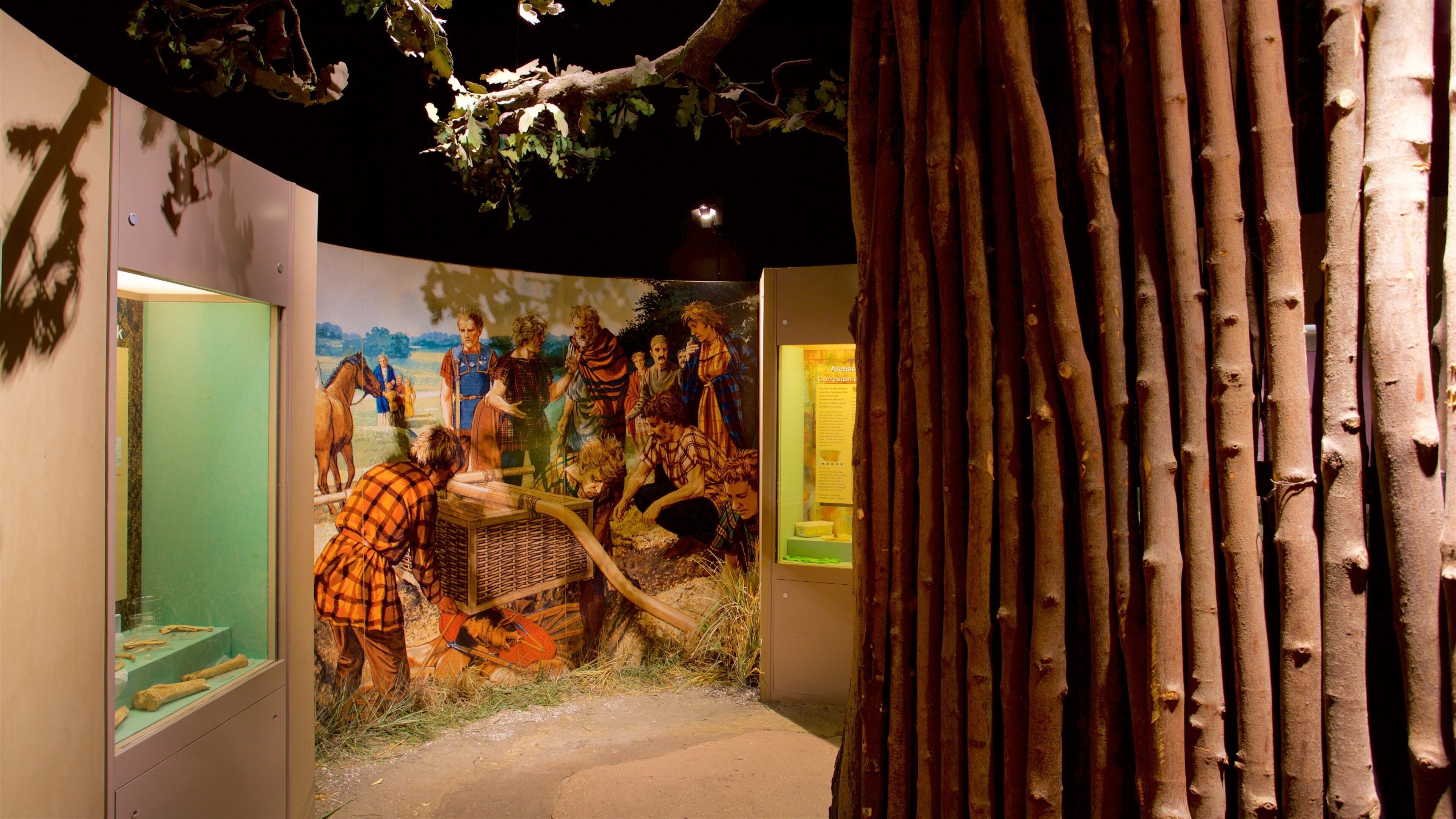 ハル アンド イーストライディング ミュージアム 表示 屋内の眺め