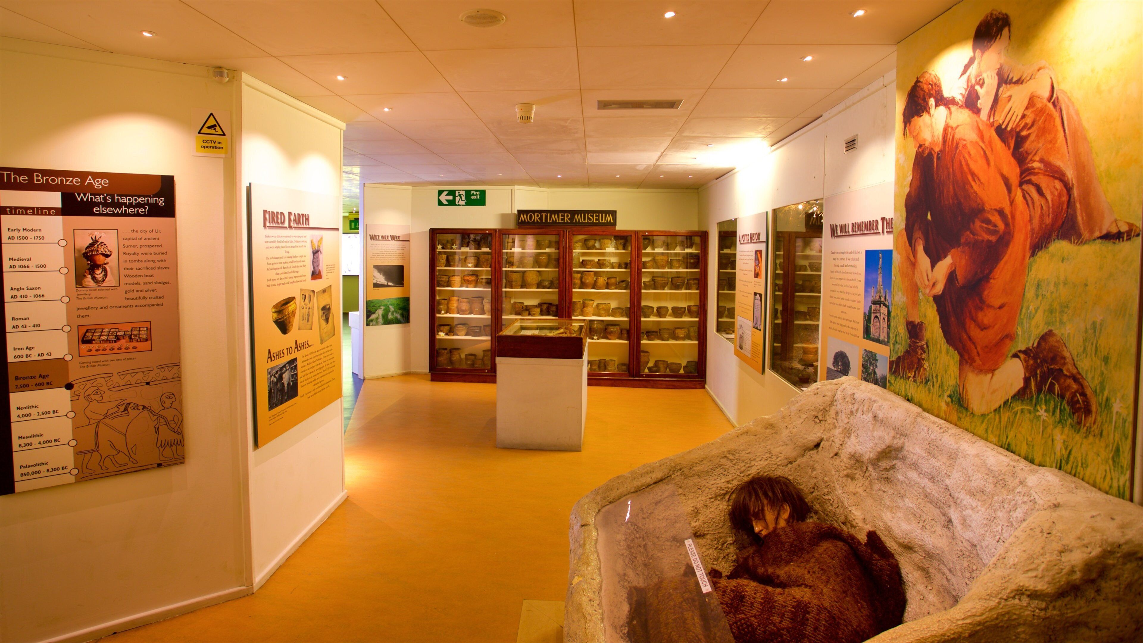 ハル アンド イーストライディング ミュージアム フィーチャー 屋内の眺め