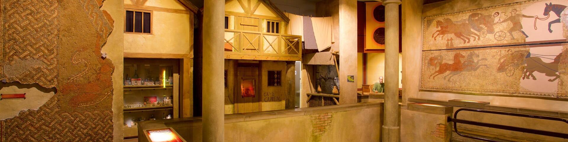 Hull and East Riding Museum showing interior views