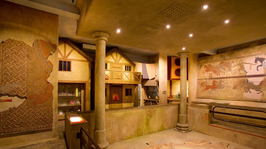 Hull and East Riding Museum showing interior views