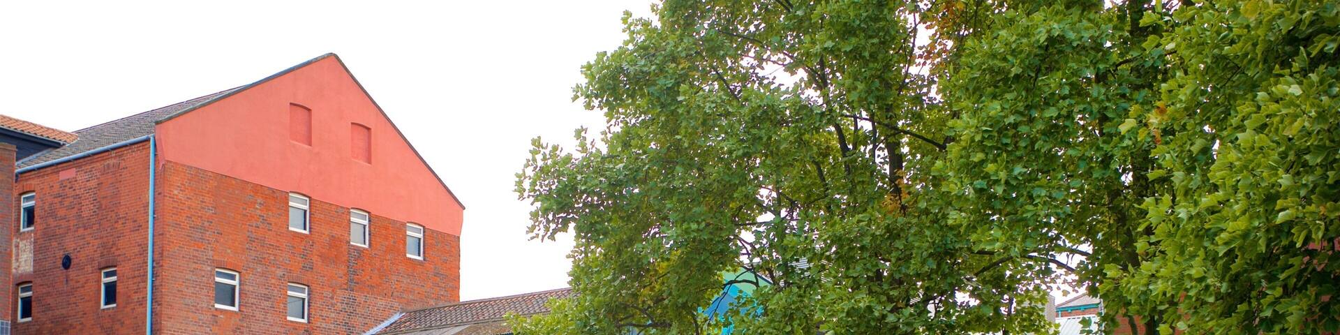 Hull and East Riding Museum as well as a small group of people