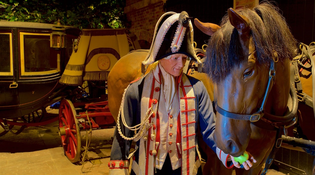 Streetlife Museum of Transport showing interior views
