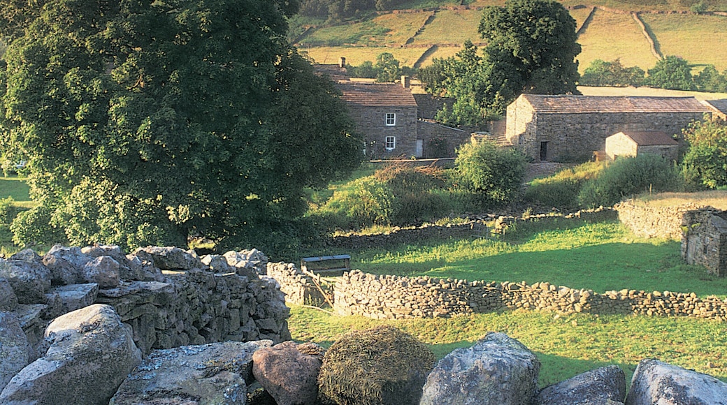 Swaledale, Yorkshire, England, UK