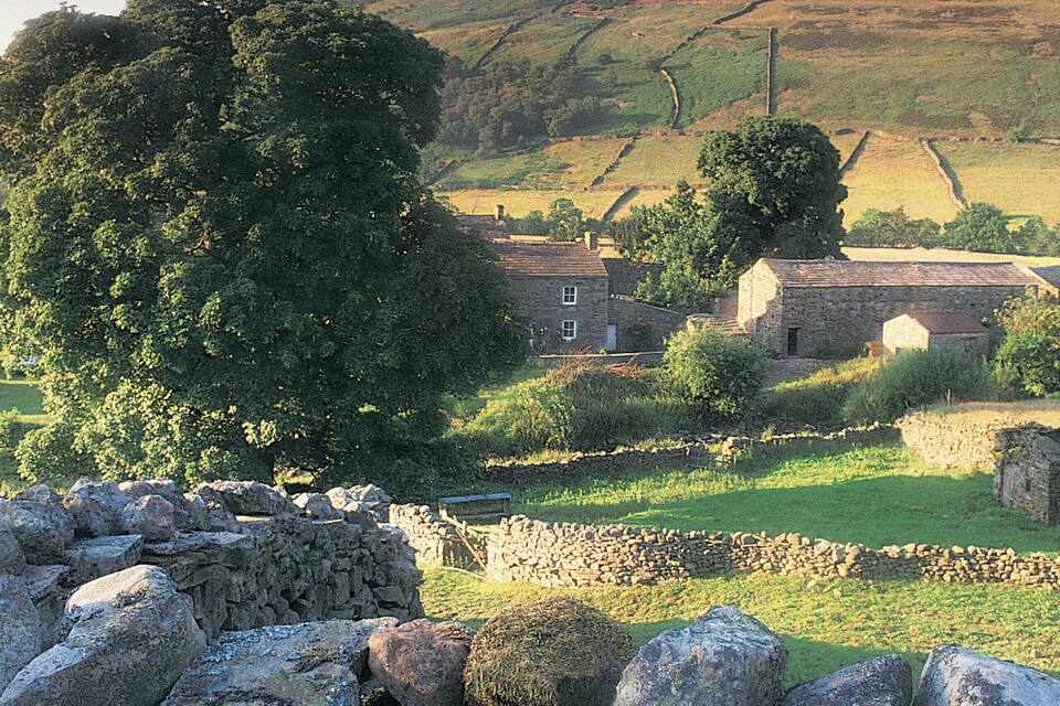 A stone wall, a stone building, and a tree in a rural landscape.