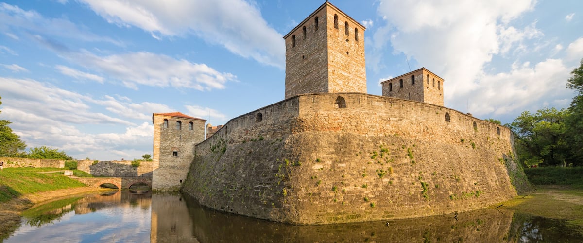 A historic stone castle with a moat, a tower, and a bridge.
