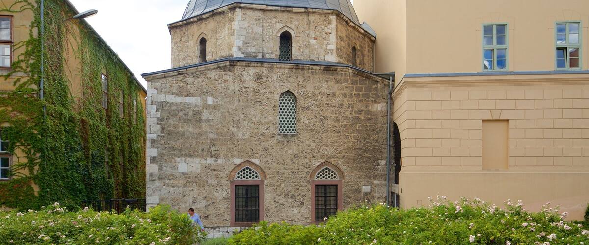Pécs mostrando una mezquita