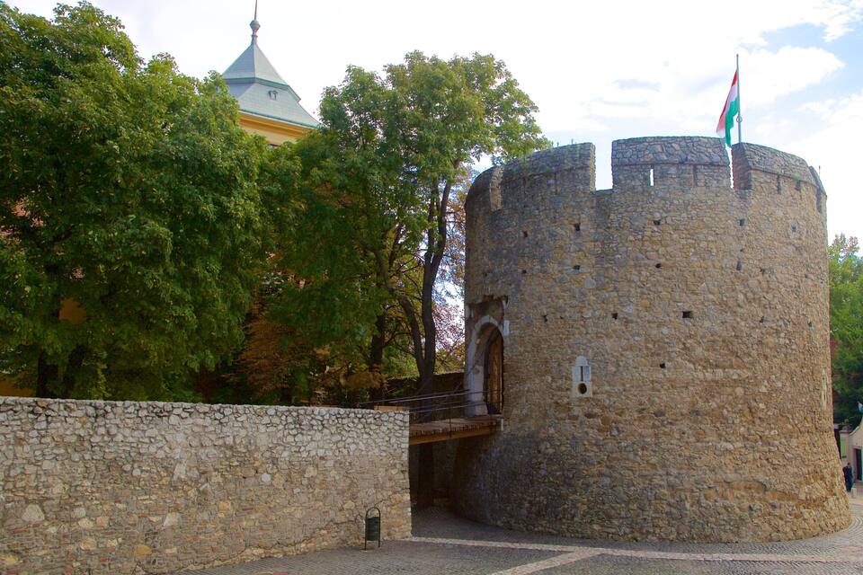 A stone castle with a flag on top, surrounded by trees and a building with a dome.