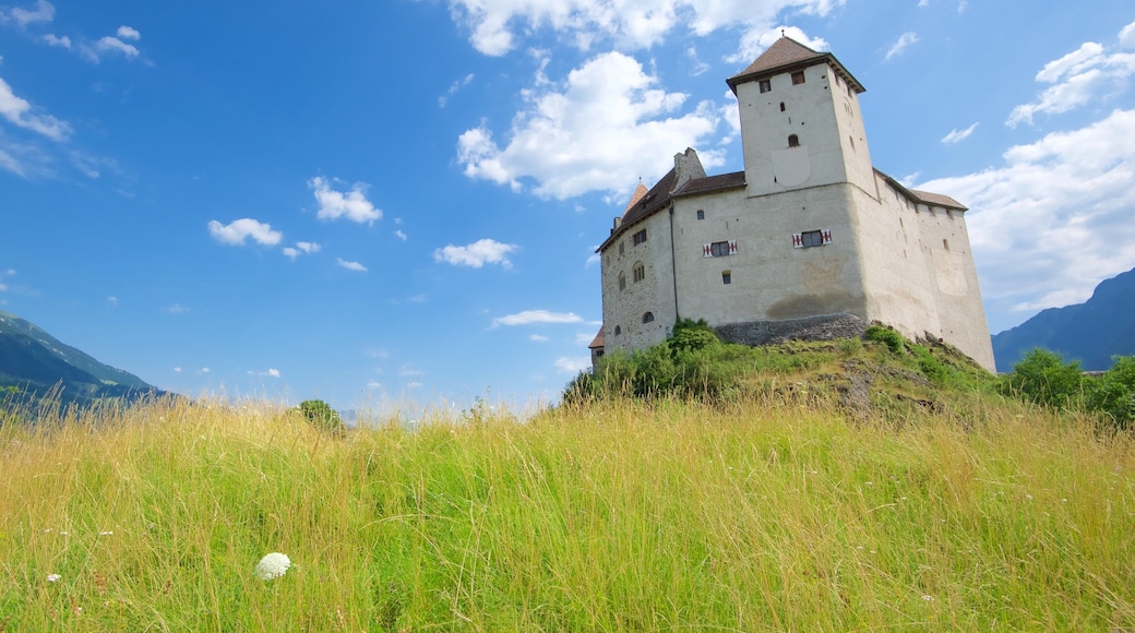 Liechtenstein featuring heritage elements, chateau or palace and tranquil scenes