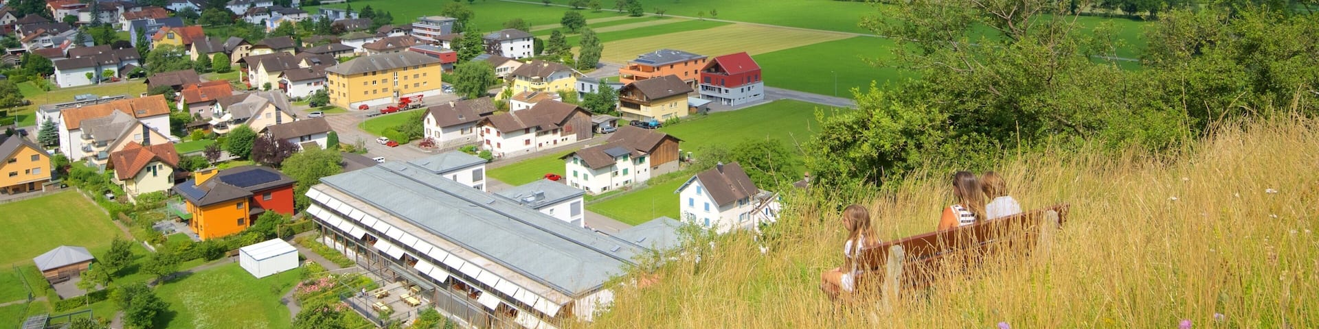 Liechtenstein featuring a small town or village, mountains and tranquil scenes