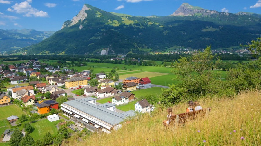 Liechtenstein mostrando montañas, un pueblo y tierra de cultivo