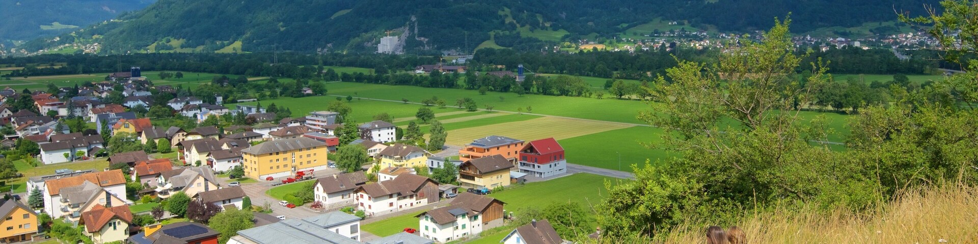 Liechtenstein mostrando montañas, un pueblo y tierra de cultivo