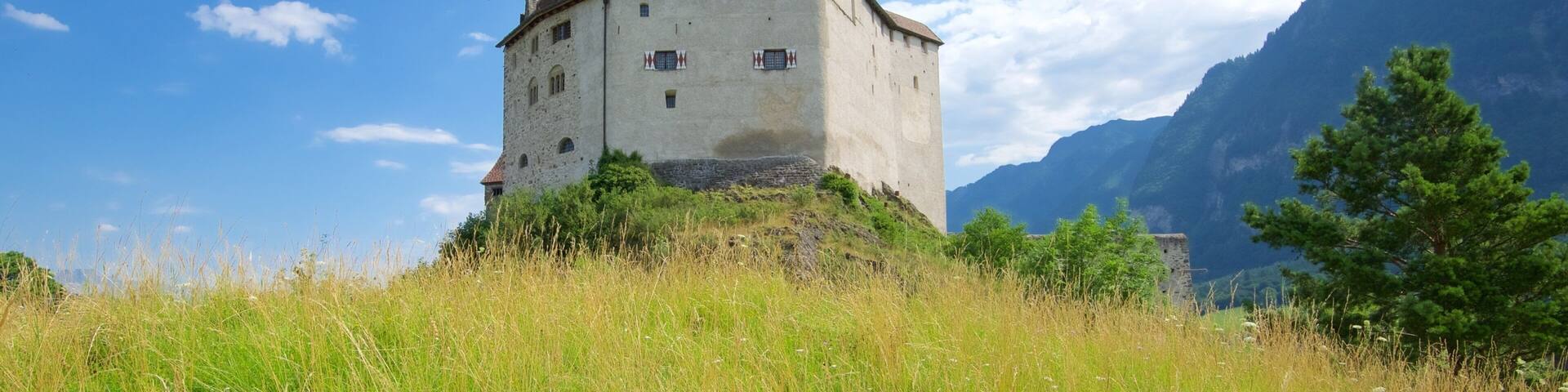 Liechtenstein which includes heritage elements, a castle and tranquil scenes