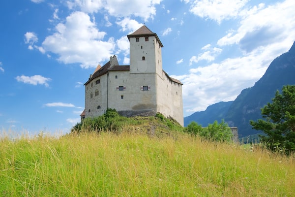 Liechtenstein showing a castle, heritage elements and tranquil scenes