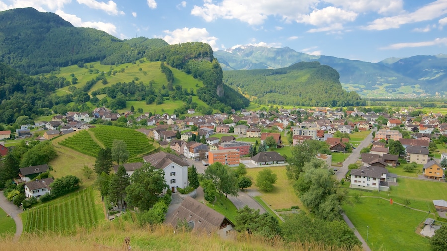Liechtenstein montrant panoramas, scĂšnes tranquilles et ferme