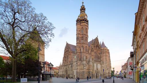 Kosice inclusief historische architectuur, een stad en een kerk of kathedraal